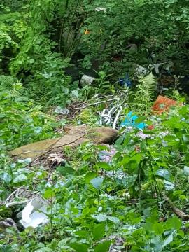 Sanacija črnega odlagališča – Banova jama 026